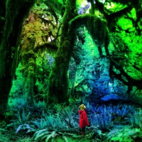 /album/fotogalerij/jacco-jpg/